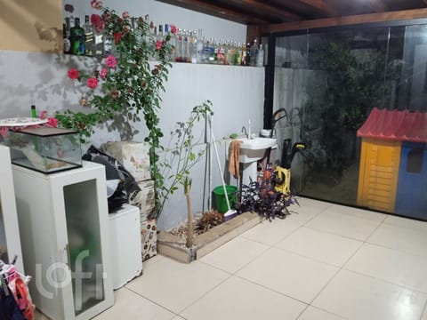 Image 13 - 276619